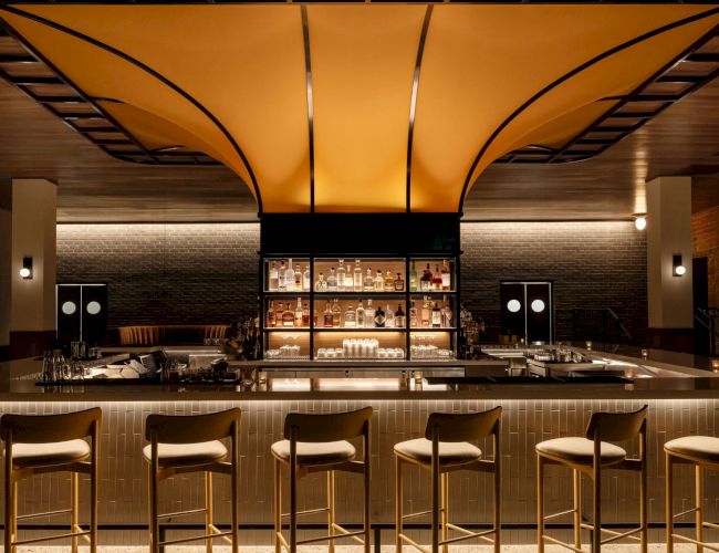 A stylish, dimly-lit bar with a curved ceiling design, row of stools, and shelves stocked with bottles, creating an inviting atmosphere.